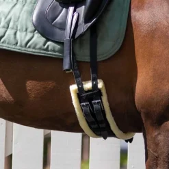 QHP Sangle de dressage Ontario> Sangle Synthétique|Sangle Courte