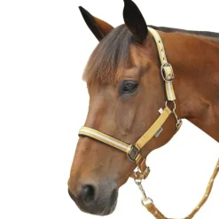 CANTER Set licol + longe lurex> Licol Nylon|Licol + Longe