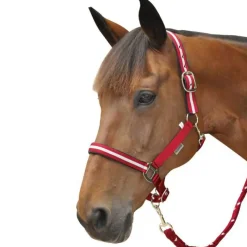 CANTER Set licol + longe lurex><noscript><img data-lazyloaded=
