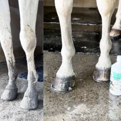 AKETUS Shampoing Protec><noscript><img width=
