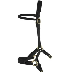 BIOTACK® Sidepull Biotack T de T><noscript><img data-lazyloaded=
