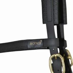 BIOTACK® Sidepull Biotack T de T><noscript><img data-lazyloaded=