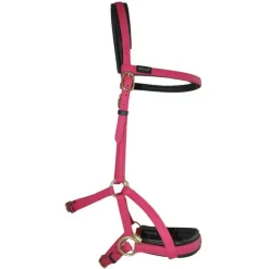 BIOTACK® Sidepull Biotack T de T><noscript><img data-lazyloaded=