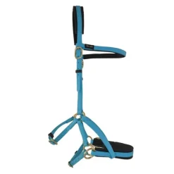 BIOTACK® Sidepull Biotack T de T><noscript><img data-lazyloaded=