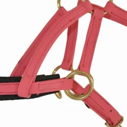 BIOTACK® Sidepull Biotack T de T><noscript><img data-lazyloaded=