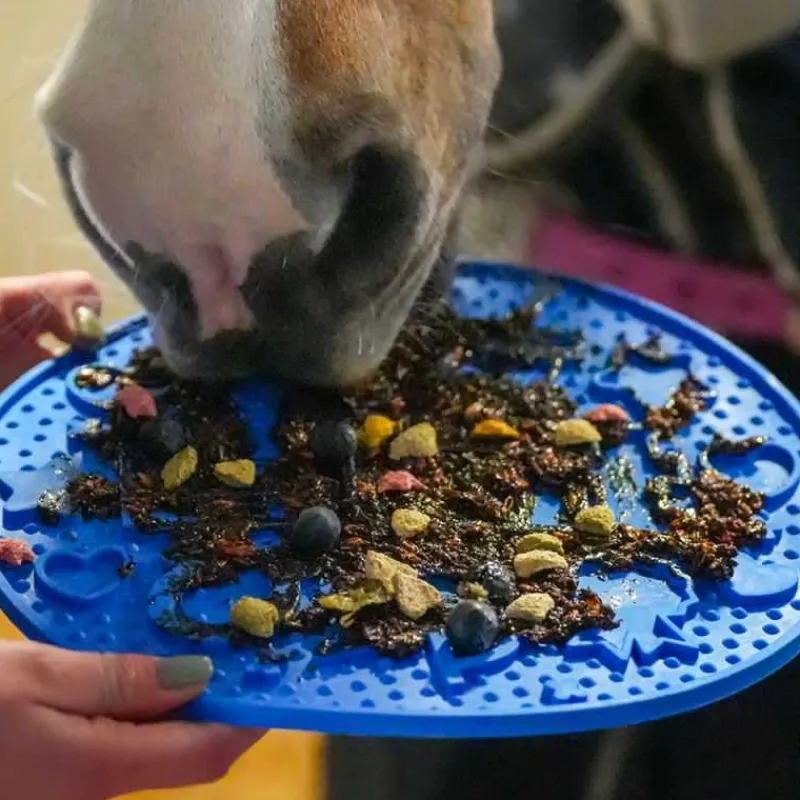 LIKIT Tapis à lécher Graze Maze> Jouets Pour Chevaux|Friandises Likit
