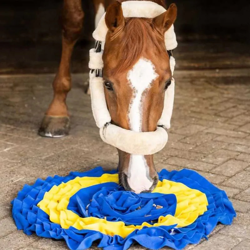 QHP Tapis de fouille pour chevaux> Jouets Pour Chevaux