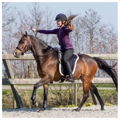 QHP Tapis de monte à cru> Tapis Poney Et Shetland|Tapis Mixte Et Cso