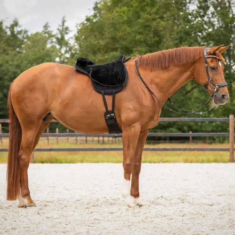 QHP Tapis de monte à cru super soft> Amortisseur|Tapis De Monte À Cru