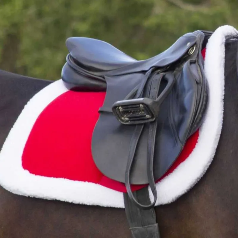 QHP Tapis de Noel> Tapis Poney Et Shetland|Tapis Mixte Et Cso