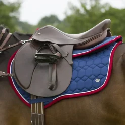 QHP Tapis de selle Eldorado> Tapis Poney Et Shetland|Tapis Mixte Et Cso