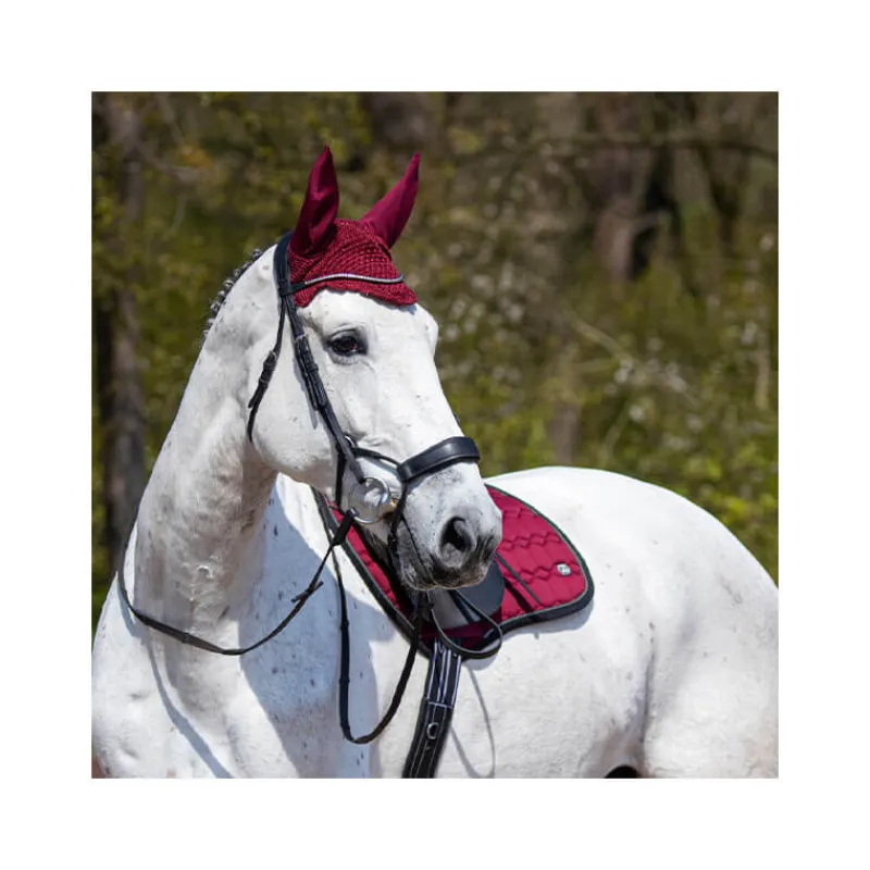 QHP Tapis de selle Eldorado> Tapis Poney Et Shetland|Tapis Mixte Et Cso