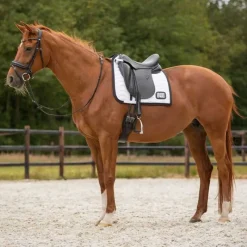 QHP Tapis de selle Numéro><noscript><img data-lazyloaded=