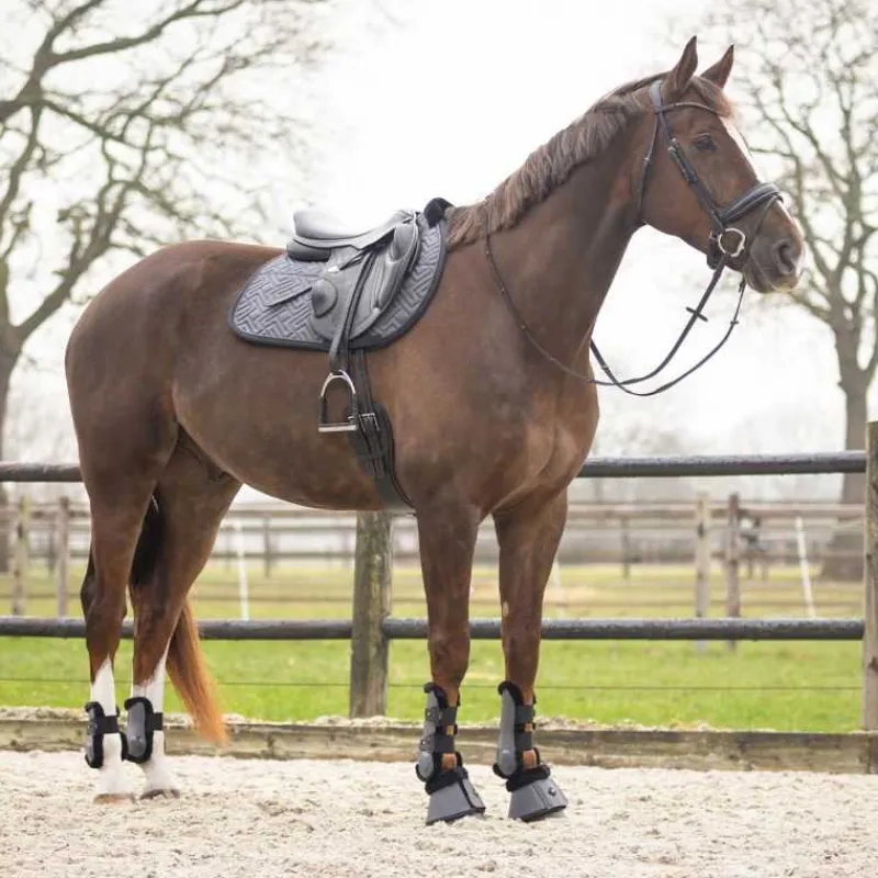 QHP Tapis de selle Sensisoft> Tapis Poney Et Shetland|Tapis Mixte Et Cso