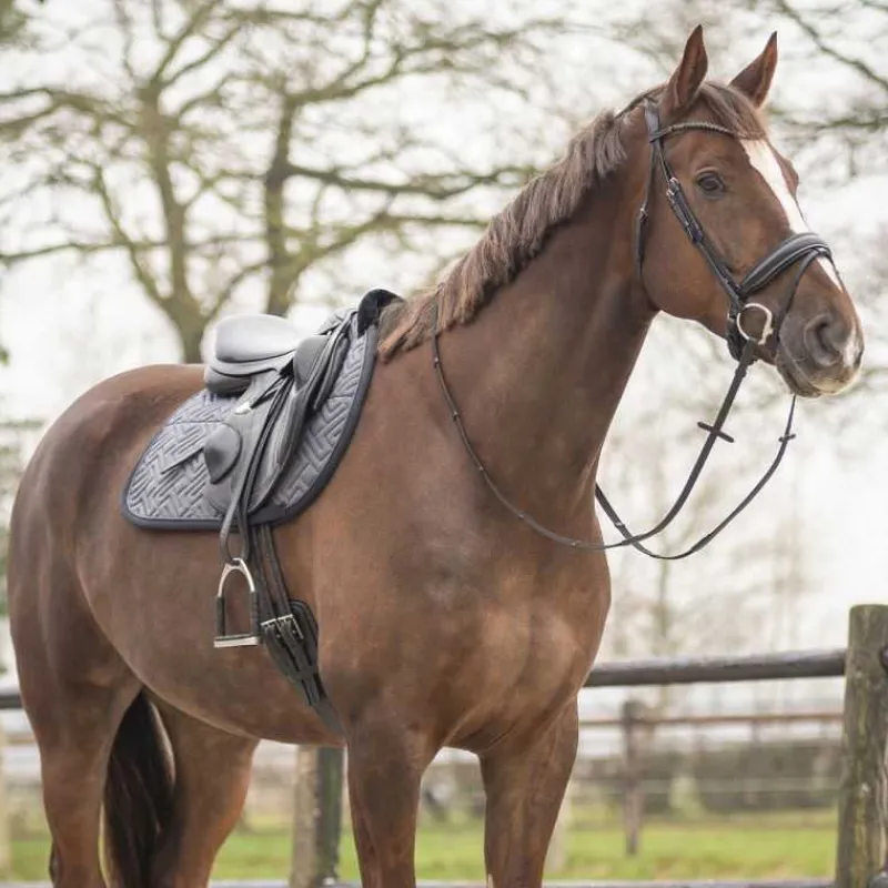 QHP Tapis de selle Sensisoft> Tapis Poney Et Shetland|Tapis Mixte Et Cso