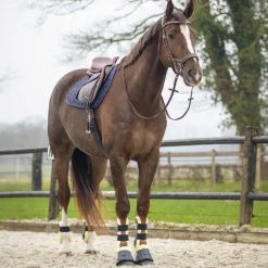 QHP Tapis de selle Sensisoft><noscript><img data-lazyloaded=