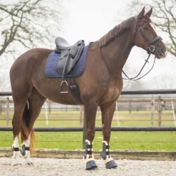 QHP Tapis de selle Sensisoft><noscript><img data-lazyloaded=