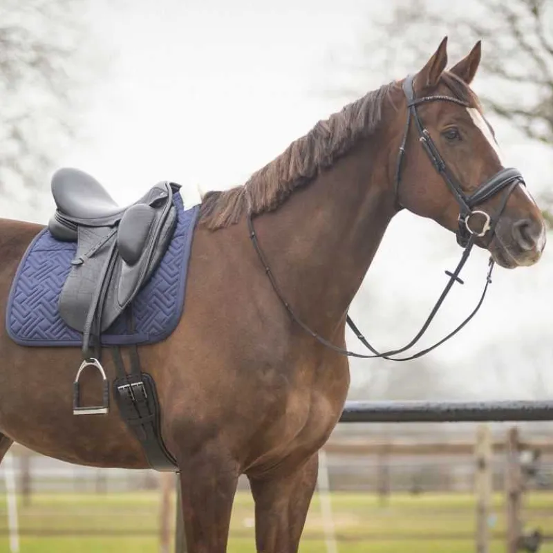 QHP Tapis de selle Sensisoft> Tapis Poney Et Shetland|Tapis Mixte Et Cso