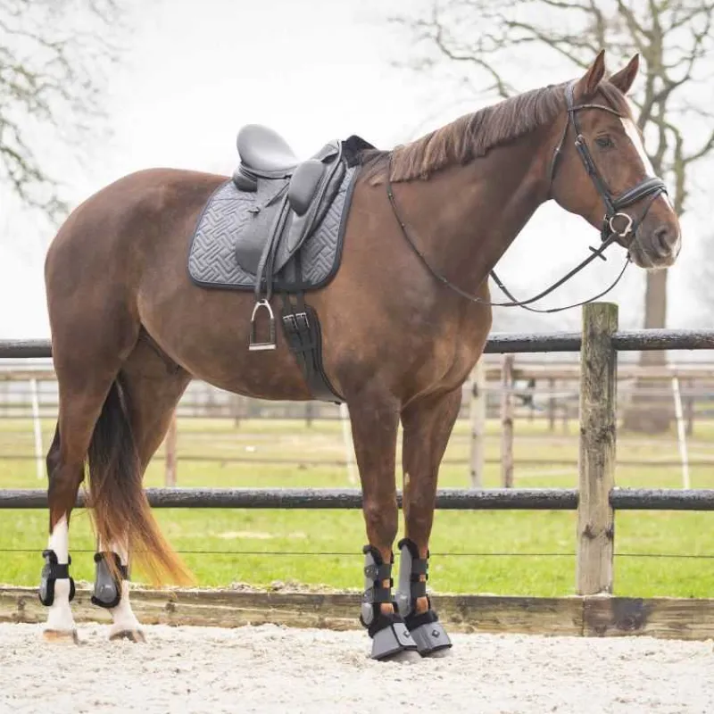 QHP Tapis de selle Sensisoft> Tapis Poney Et Shetland|Tapis Mixte Et Cso