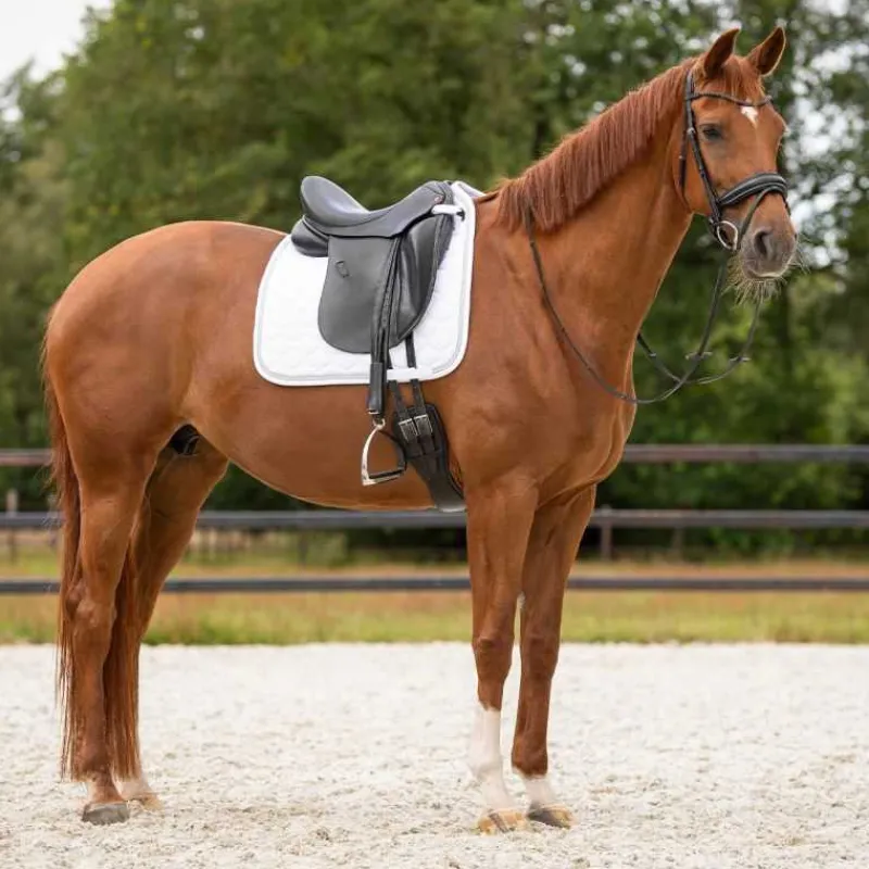 QHP Tapis de selle Sparkle> Tapis Mixte Et Cso|Tapis De Dressage