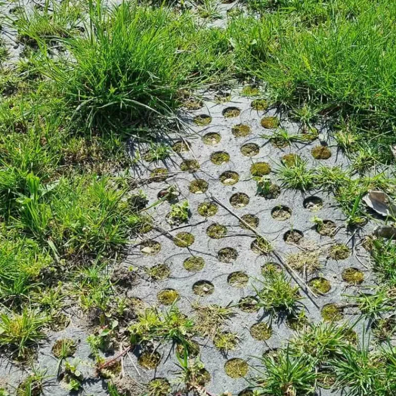 KRAIBURG BELMONDO Tapis de sol Belmondo Flix sols naturels> Tapis De Sol Caoutchouc