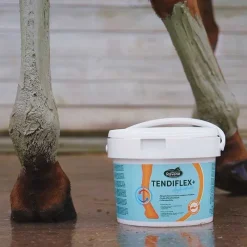 RAVENE Tendiflex+ 4kg> Argile