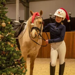 QHP Toque Noël><noscript><img data-lazyloaded=